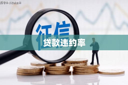 惠安贷款违约率
