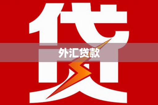 惠安外汇贷款