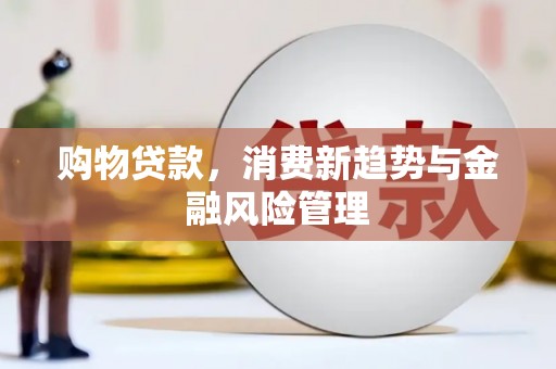 惠安购物贷款，消费新趋势与金融风险管理