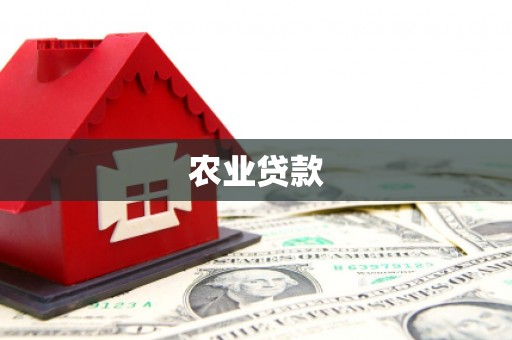 惠安农业贷款