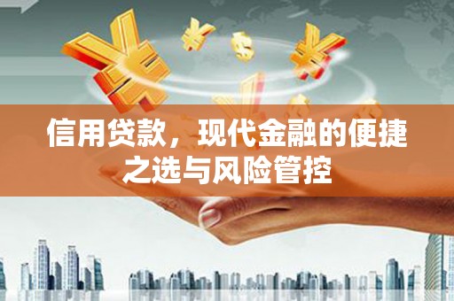 惠安信用贷款，现代金融的便捷之选与风险管控