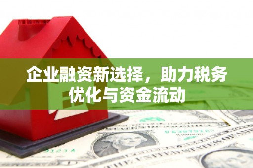 惠安企业融资新选择，助力税务优化与资金流动