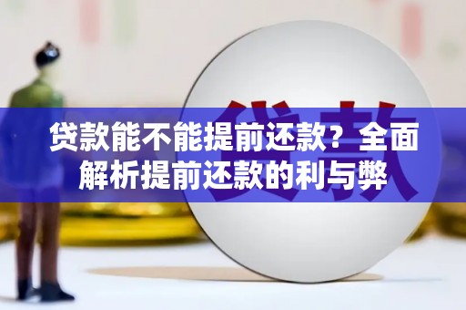 惠安贷款能不能提前还款？全面解析提前还款的利与弊