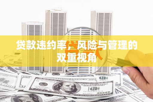 惠安贷款违约率，风险与管理的双重视角