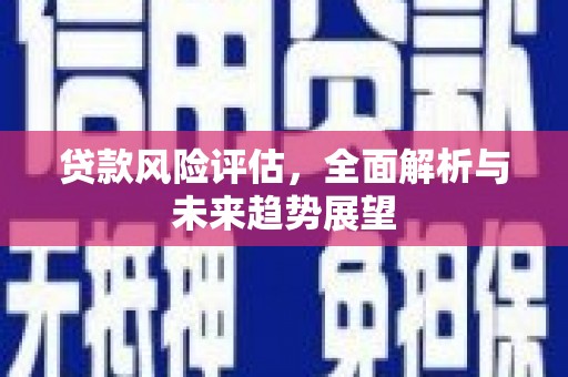 惠安贷款风险评估，全面解析与未来趋势展望