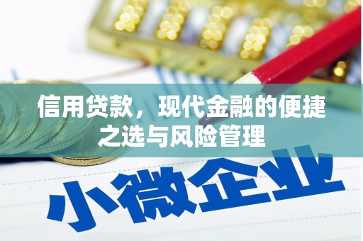 惠安信用贷款，现代金融的便捷之选与风险管理