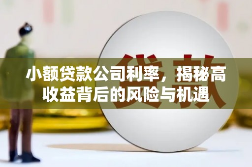 惠安小额贷款公司利率，揭秘高收益背后的风险与机遇