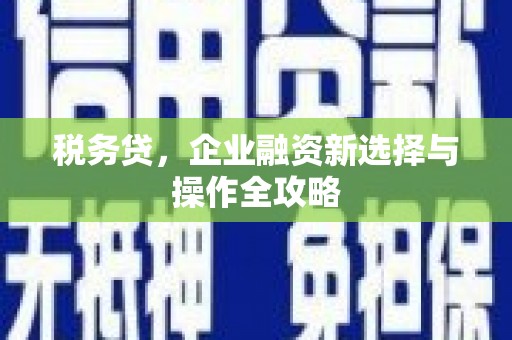 惠安税务贷，企业融资新选择与操作全攻略