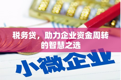 惠安税务贷，助力企业资金周转的智慧之选