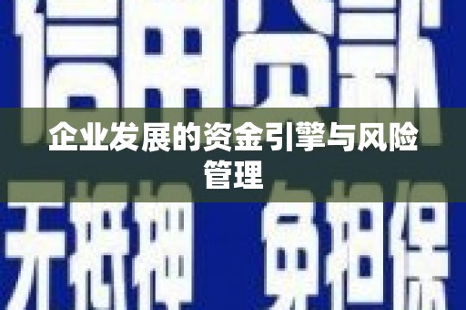 惠安企业发展的资金引擎与风险管理