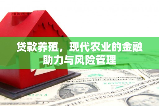 惠安贷款养殖，现代农业的金融助力与风险管理