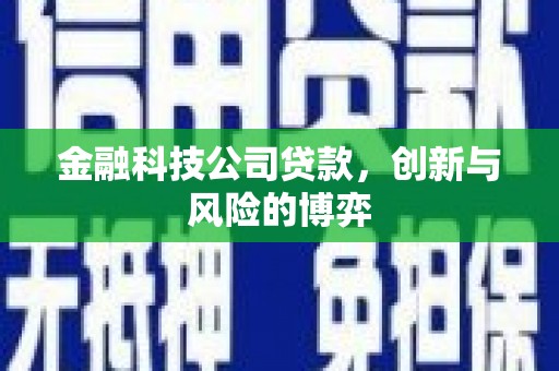 惠安金融科技公司贷款，创新与风险的博弈
