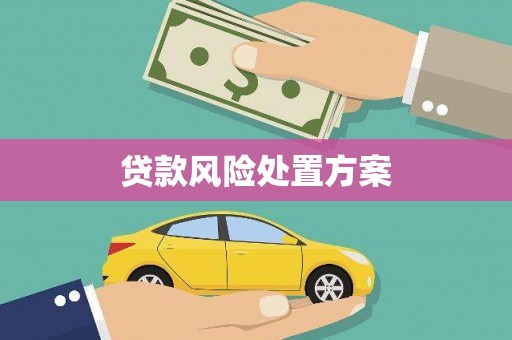 惠安贷款风险处置方案