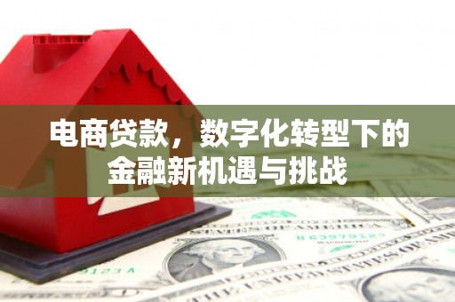 惠安电商贷款，数字化转型下的金融新机遇与挑战