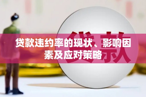 惠安贷款违约率的现状、影响因素及应对策略