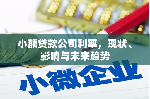 惠安小额贷款公司利率，现状、影响与未来趋势