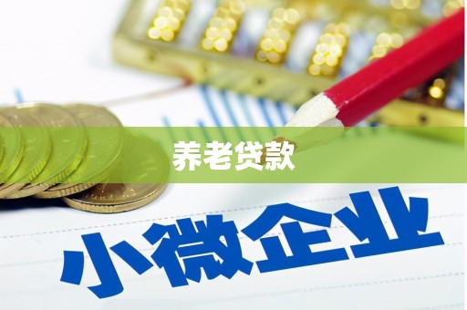 惠安养老贷款