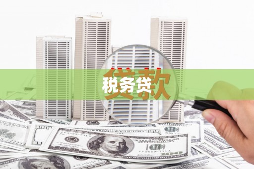 惠安税务贷