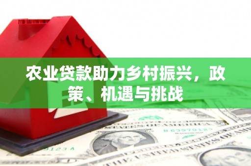 惠安农业贷款助力乡村振兴，政策、机遇与挑战