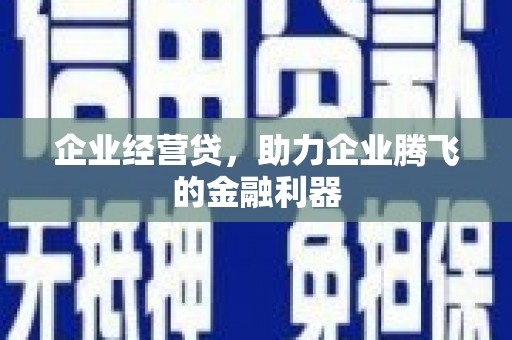 惠安企业经营贷，助力企业腾飞的金融利器