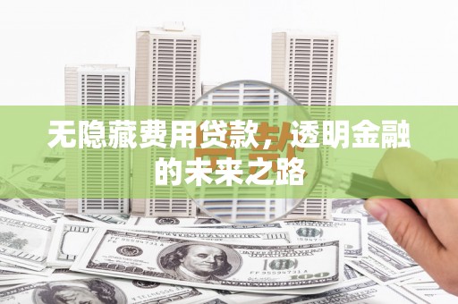 惠安无隐藏费用贷款，透明金融的未来之路