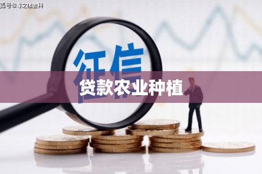 惠安贷款农业种植