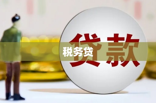 惠安税务贷