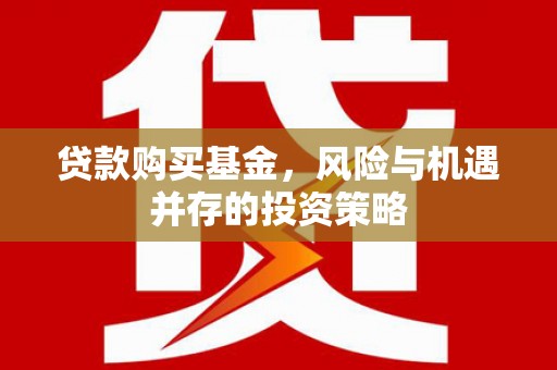 惠安贷款购买基金，风险与机遇并存的投资策略
