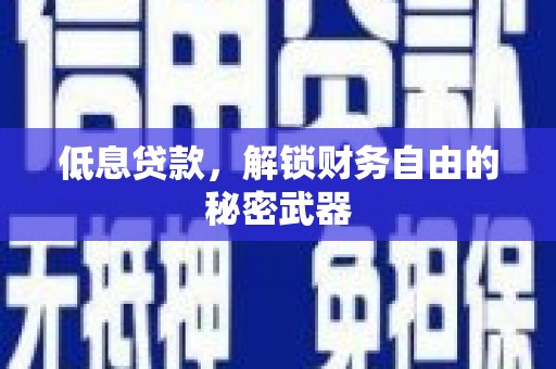 惠安低息贷款，解锁财务自由的秘密武器