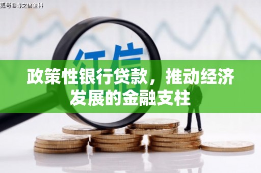 惠安政策性银行贷款，推动经济发展的金融支柱