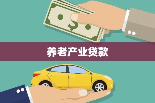 惠安养老产业贷款