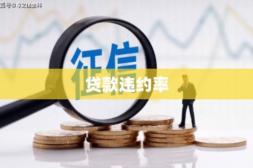 惠安贷款违约率