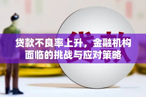 惠安贷款不良率上升，金融机构面临的挑战与应对策略