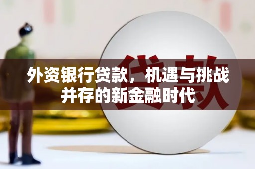 惠安外资银行贷款，机遇与挑战并存的新金融时代