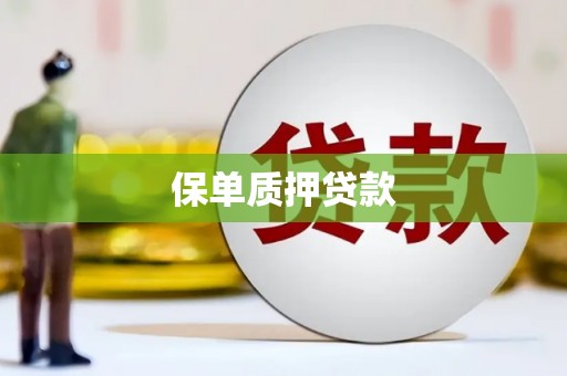 惠安保单质押贷款