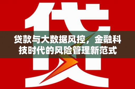 惠安贷款与大数据风控，金融科技时代的风险管理新范式