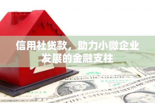 惠安信用社贷款，助力小微企业发展的金融支柱