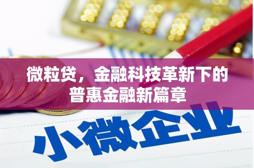 惠安微粒贷，金融科技革新下的普惠金融新篇章