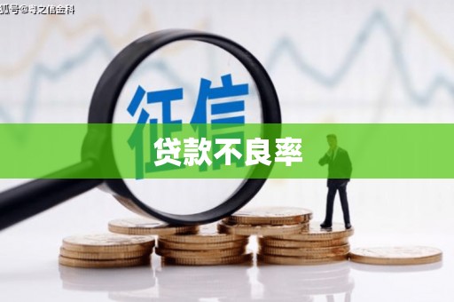 惠安贷款不良率