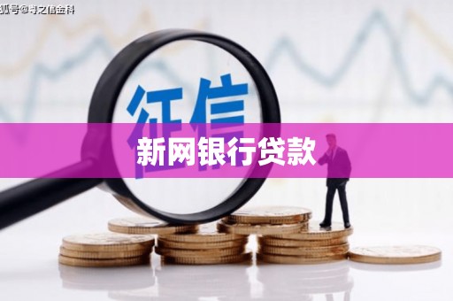 惠安新网银行贷款