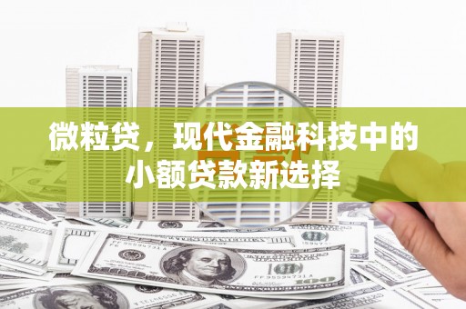 惠安微粒贷，现代金融科技中的小额贷款新选择