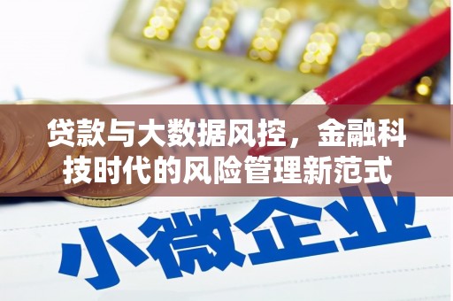 惠安贷款与大数据风控，金融科技时代的风险管理新范式