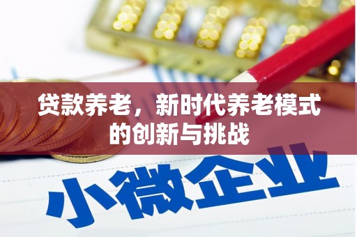 惠安贷款养老，新时代养老模式的创新与挑战