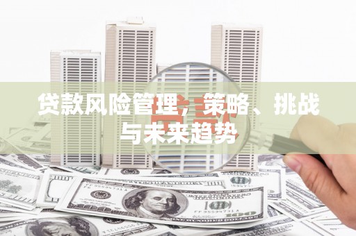 惠安贷款风险管理，策略、挑战与未来趋势