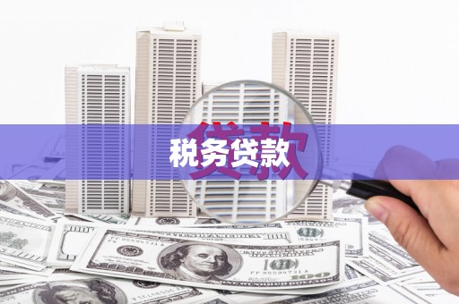 惠安税务贷款
