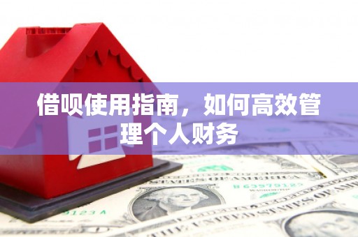 惠安借呗使用指南，如何高效管理个人财务