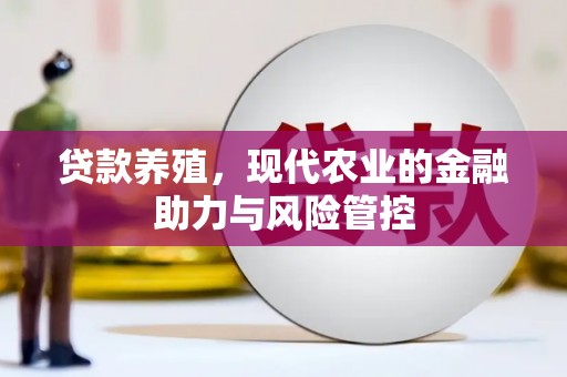惠安贷款养殖，现代农业的金融助力与风险管控