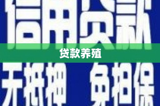 惠安贷款养殖