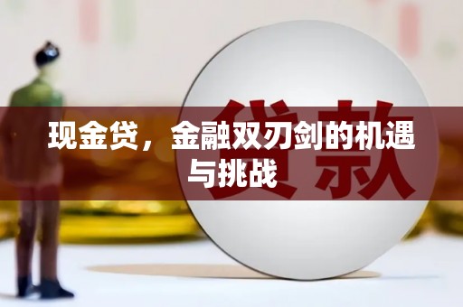 惠安现金贷，金融双刃剑的机遇与挑战