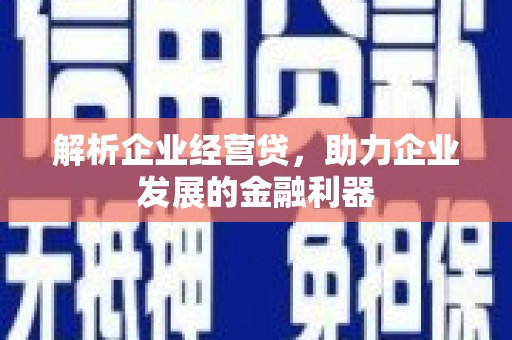 惠安解析企业经营贷，助力企业发展的金融利器